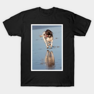 English Springer spaniel T-Shirt